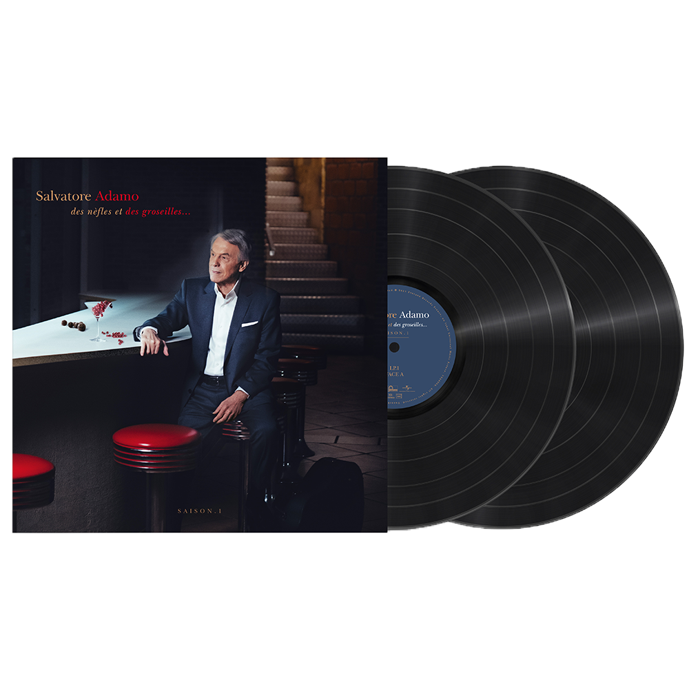 Double vinyle - Des nèfles et des groseilles - Saison 1